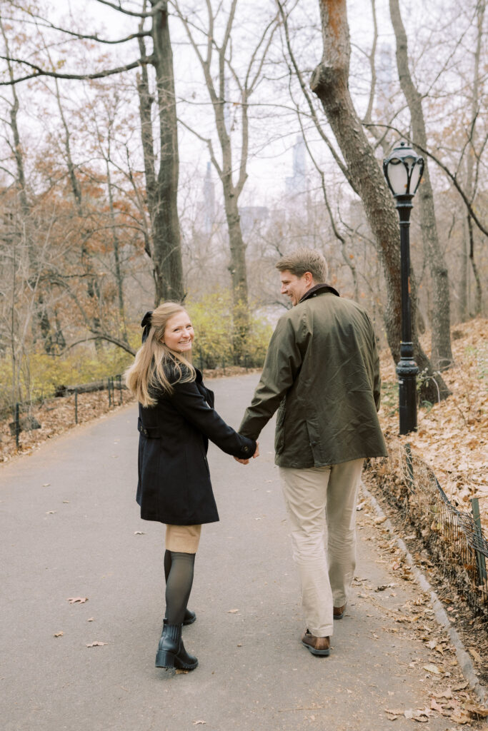 Central Park Proposal 