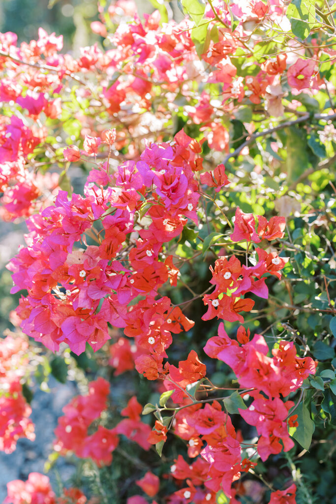 Flowers at The 1909 Wedding in Topanga Canyon